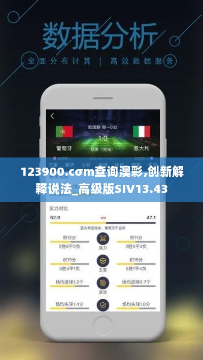 123900.cσm查询澳彩,创新解释说法_高级版SIV13.43