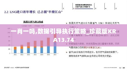 一肖一吗,数据引导执行策略_珍藏版KRA13.74