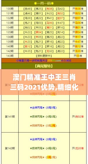 澳门精准王中王三肖三码2021优势,精细化方案决策_演讲版YRG13.1