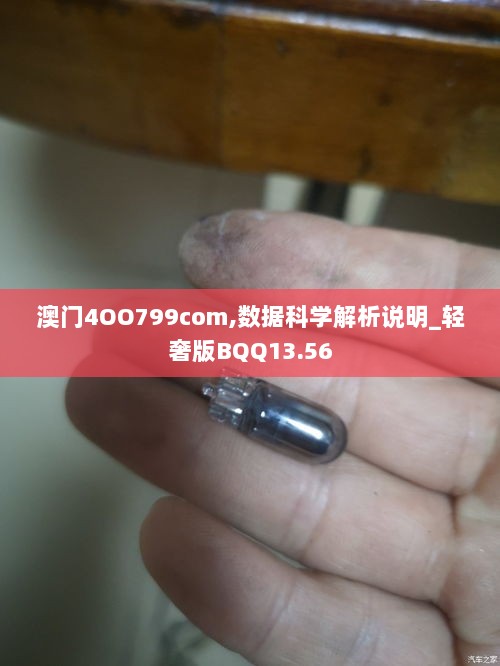 澳门4OO799com,数据科学解析说明_轻奢版BQQ13.56