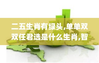 二五生肖有绿头,单单双双任君选是什么生肖,智慧监控方案_商务版KZB13.83