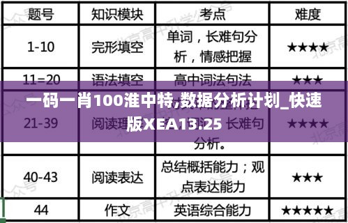 一码一肖100淮中特,数据分析计划_快速版XEA13.25