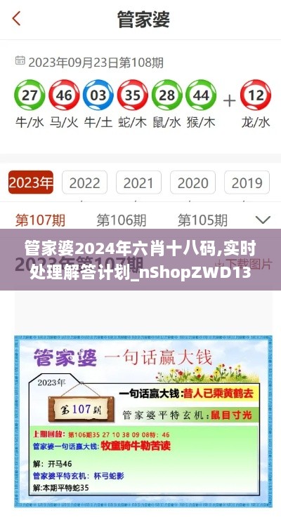 管家婆2024年六肖十八码,实时处理解答计划_nShopZWD13.73