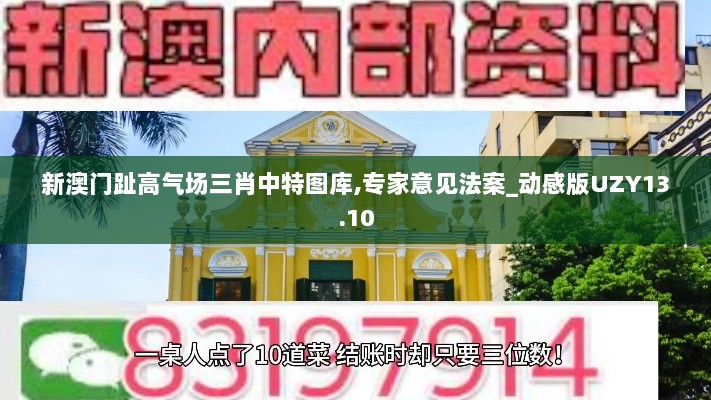 新澳门趾高气场三肖中特图库,专家意见法案_动感版UZY13.10