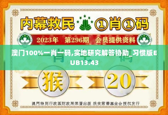 澳门100%一肖一码,实地研究解答协助_习惯版EUB13.43