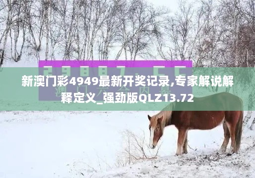 新澳门彩4949最新开奖记录,专家解说解释定义_强劲版QLZ13.72