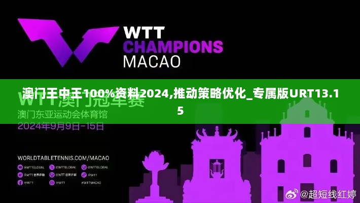 澳门王中王100%资料2024,推动策略优化_专属版URT13.15