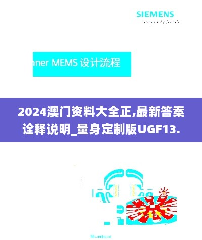 2024澳门资料大全正,最新答案诠释说明_量身定制版UGF13.46