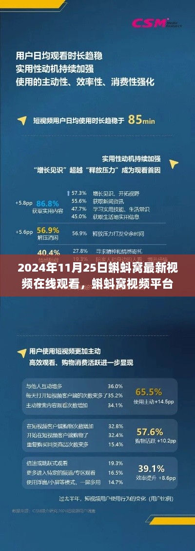 2024年11月25日蝌蚪窝最新视频回顾与影响分析，在线观看趋势解析