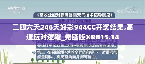 二四六天246天好彩944CC开奖结果,高速应对逻辑_先锋版XRB13.14