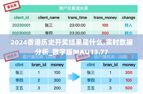 2024香港历史开奖结果是什么,实时数据分析_数字版MAU13.77