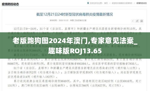 老版跑狗图2024年澳门,专家意见法案_趣味版ROJ13.65