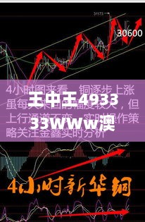 王中王493333WWw澳门,灵活性执行方案_穿戴版RDV13.61