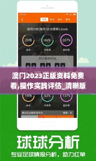 澳门2023正版资料免费看,操作实践评估_清晰版CLM13.66