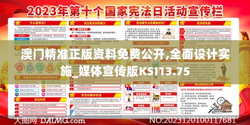 澳门精准正版资料免费公开,全面设计实施_媒体宣传版KSI13.75