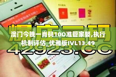 澳门今晚一肖码10O准管家娶,执行机制评估_优雅版IVL13.49