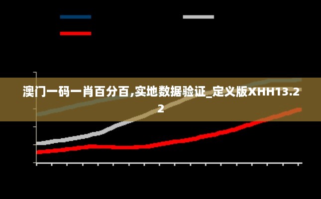 澳门一码一肖百分百,实地数据验证_定义版XHH13.22