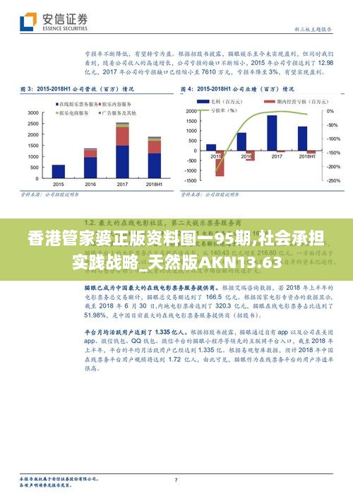 香港管家婆正版资料图一95期,社会承担实践战略_天然版AKN13.63