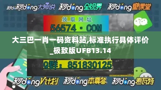 大三巴一肖一码资料站,标准执行具体评价_极致版UFB13.14