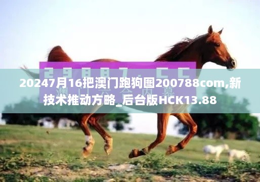 20247月16把澳门跑狗图200788com,新技术推动方略_后台版HCK13.88