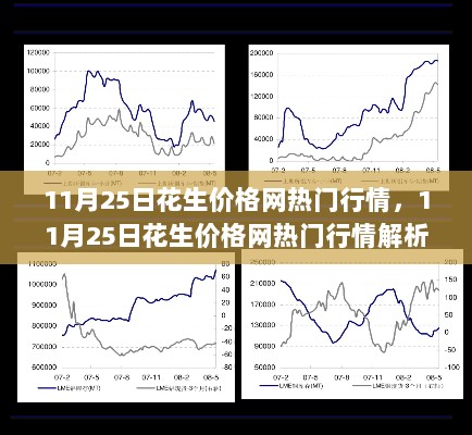 11月25日花生价格网热门行情解析与趋势洞察