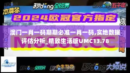 澳门一肖一码期期必准一肖一码,实地数据评估分析_精致生活版UMC13.78