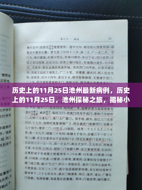 历史上的11月25日，池州探秘之旅与最新病例揭秘