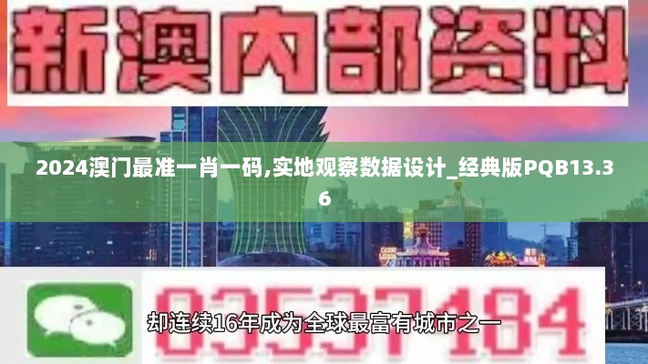 2024澳门最准一肖一码,实地观察数据设计_经典版PQB13.36