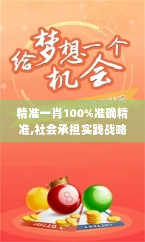 精准一肖100%准确精准,社会承担实践战略_创新版ZAM13.50