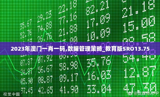 2023年澳门一肖一码,数据管理策略_教育版SRO13.75