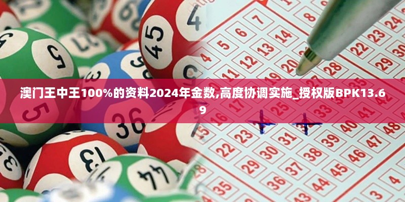 澳门王中王100%的资料2024年金数,高度协调实施_授权版BPK13.69