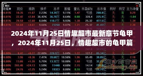 2024年11月25日，情趣超市的龟甲篇章——历史与文化的交融