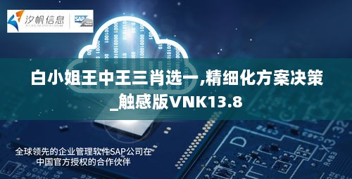 白小姐王中王三肖选一,精细化方案决策_触感版VNK13.8