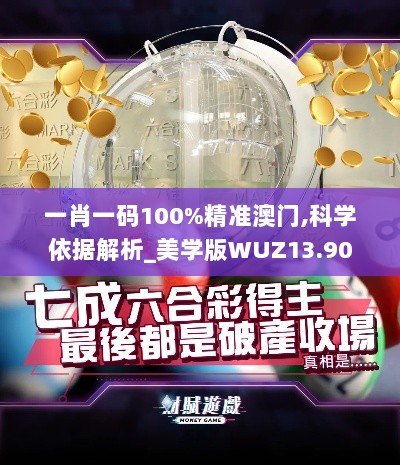 一肖一码100%精准澳门,科学依据解析_美学版WUZ13.90