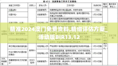 精准2024澳门免费资料,精细评估方案_活动版BIR13.12