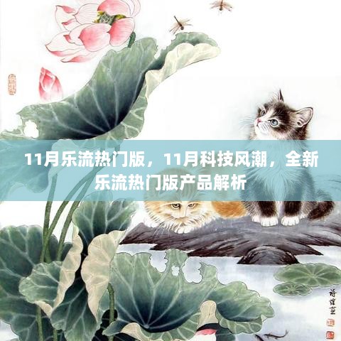 11月科技风潮中的乐流热门版产品解析