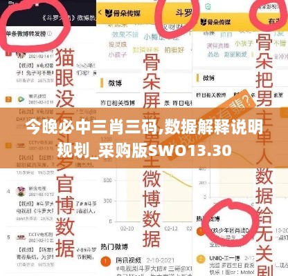 今晚必中三肖三码,数据解释说明规划_采购版SWO13.30