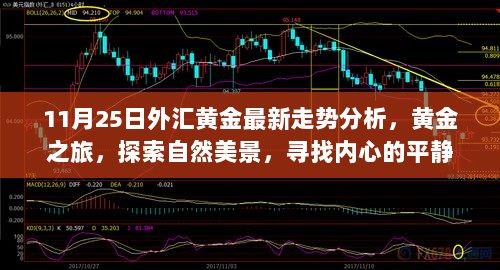 11月25日黄金走势深度解析，探索金融与自然之美，寻求内心平静的旅程