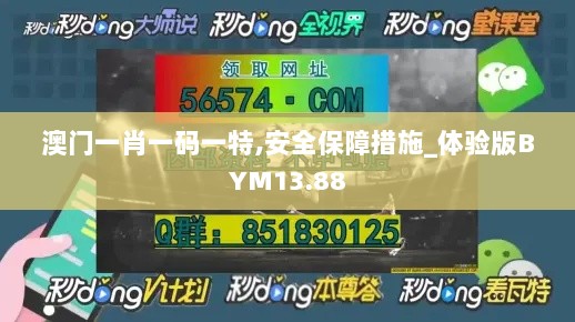 澳门一肖一码一特,安全保障措施_体验版BYM13.88