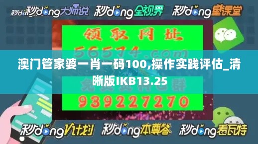 澳门管家婆一肖一码100,操作实践评估_清晰版IKB13.25