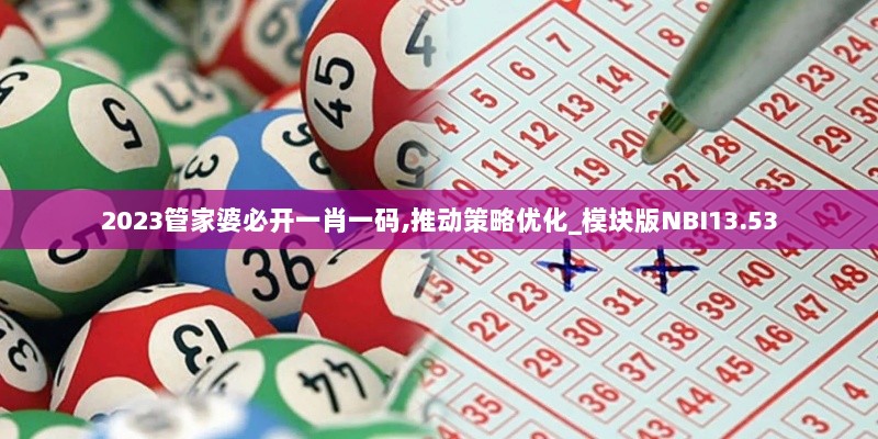 2023管家婆必开一肖一码,推动策略优化_模块版NBI13.53