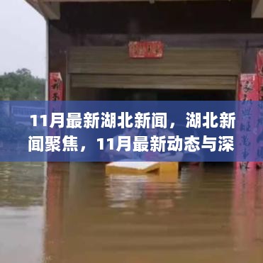 11月湖北新闻聚焦，最新动态与深度解析