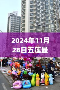 五莲个人房源市场变迁与影响（2024年11月28日）