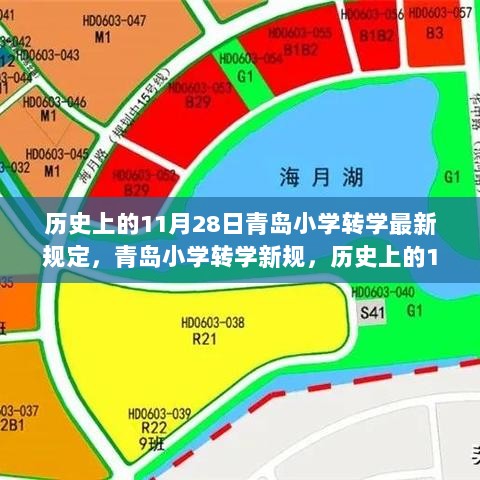 历史上的11月28日，青岛小学转学新规与教育变革的步伐