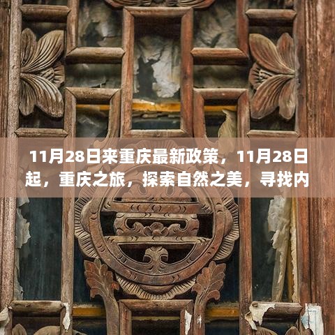 11月28日重庆旅行新政策及自然探索之旅