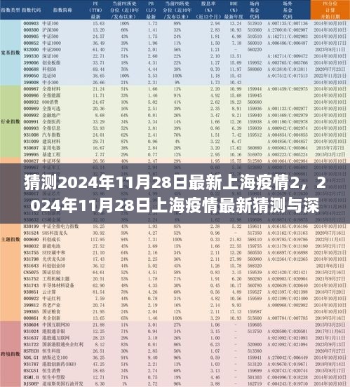 2024年11月28日上海疫情最新猜测与深度分析