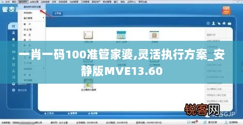 一肖一码100准管家婆,灵活执行方案_安静版MVE13.60