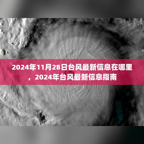 2024年台风最新信息指南，如何获取最新台风动态？