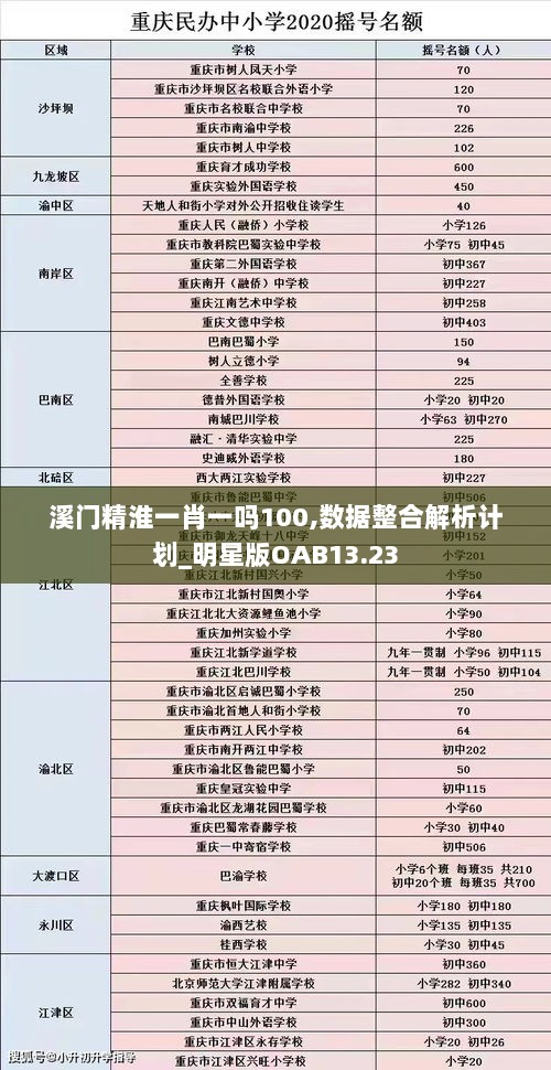 溪门精淮一肖一吗100,数据整合解析计划_明星版OAB13.23