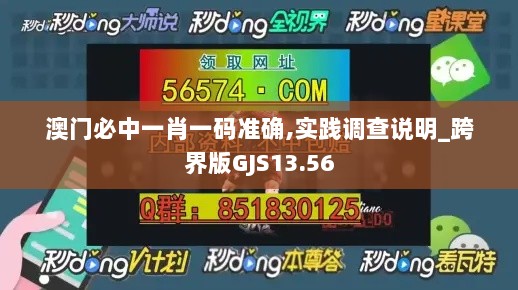 澳门必中一肖一码准确,实践调查说明_跨界版GJS13.56